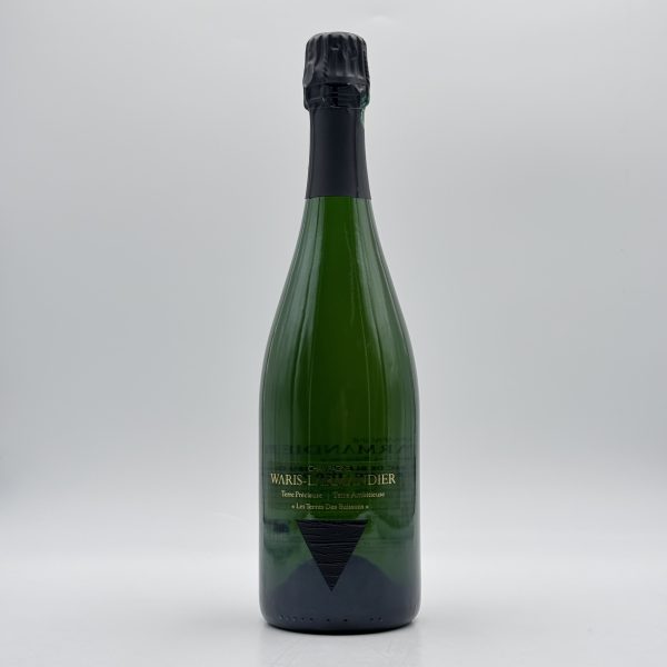 Waris Larmandier 2013 "Les Terres des Buissons"